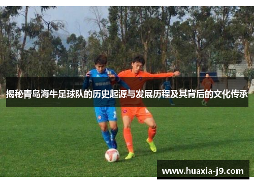 揭秘青岛海牛足球队的历史起源与发展历程及其背后的文化传承