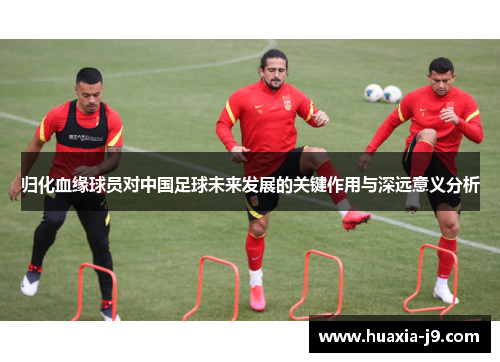 归化血缘球员对中国足球未来发展的关键作用与深远意义分析 归化血缘球员对中国足球未来发展的关键作用与深远意义分析