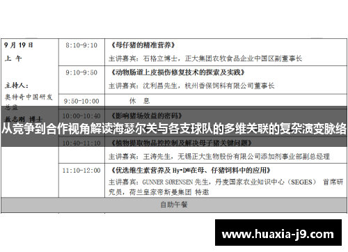 从竞争到合作视角解读海瑟尔关与各支球队的多维关联的复杂演变脉络