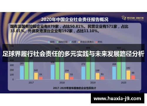 足球界履行社会责任的多元实践与未来发展路径分析