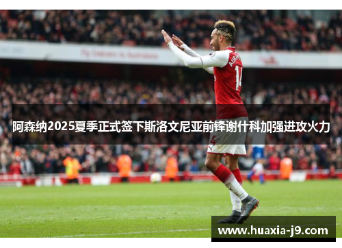 阿森纳2025夏季正式签下斯洛文尼亚前锋谢什科加强进攻火力